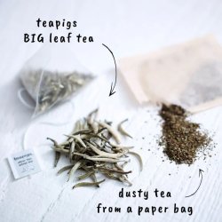 teapigs - silver tips white tea - the great white