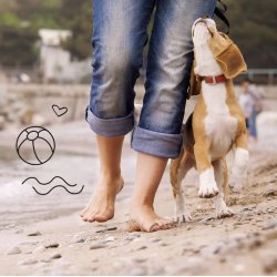 The Sustainable People - Recycling Hundeposer 20 x 35 cm