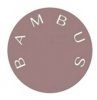 b a m b u s
